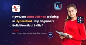 How Does Data Science Training in Hyderabad Help Beginners Build Practical Skills?
